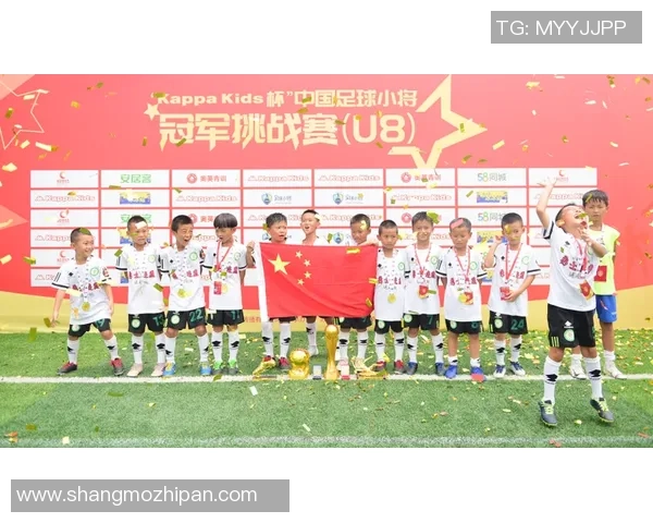 江苏南京足球明星的崛起与发展历程探秘及其对地方足球的影响