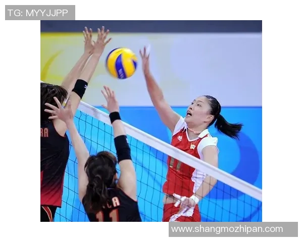 专业解读:成都排球队的运营打法 专业解读:成都排球队的运营打法